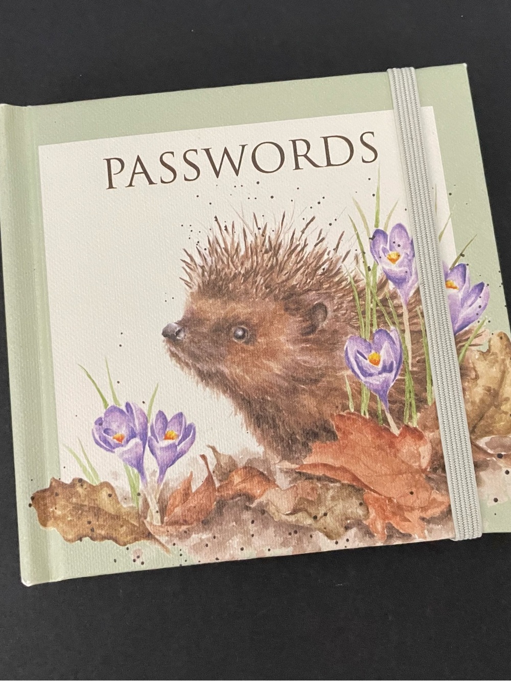 Hedgehog Password book by Wendell Designs Hannah Dale